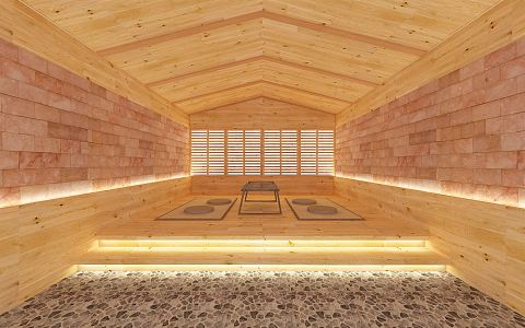 Modern Sauna Room 3d model