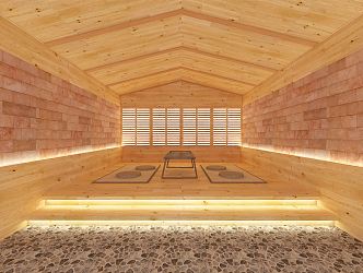 Modern Sauna Room 3d model