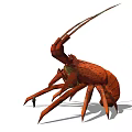 Red Lobster With Long Antennae Multiple Legs And Segmented Exoskeleton In Water