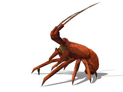 Red Lobster With Long Antennae Multiple Legs And Segmented Exoskeleton In Water 3d model