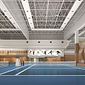 Indoor Sports Gymnasium With Blue Court White Lines Metal Ceiling And Sports Figures On Wall