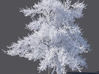 Beautiful Snow Covered Arbor With Frosted White Branches In Winter Landscape 3d model