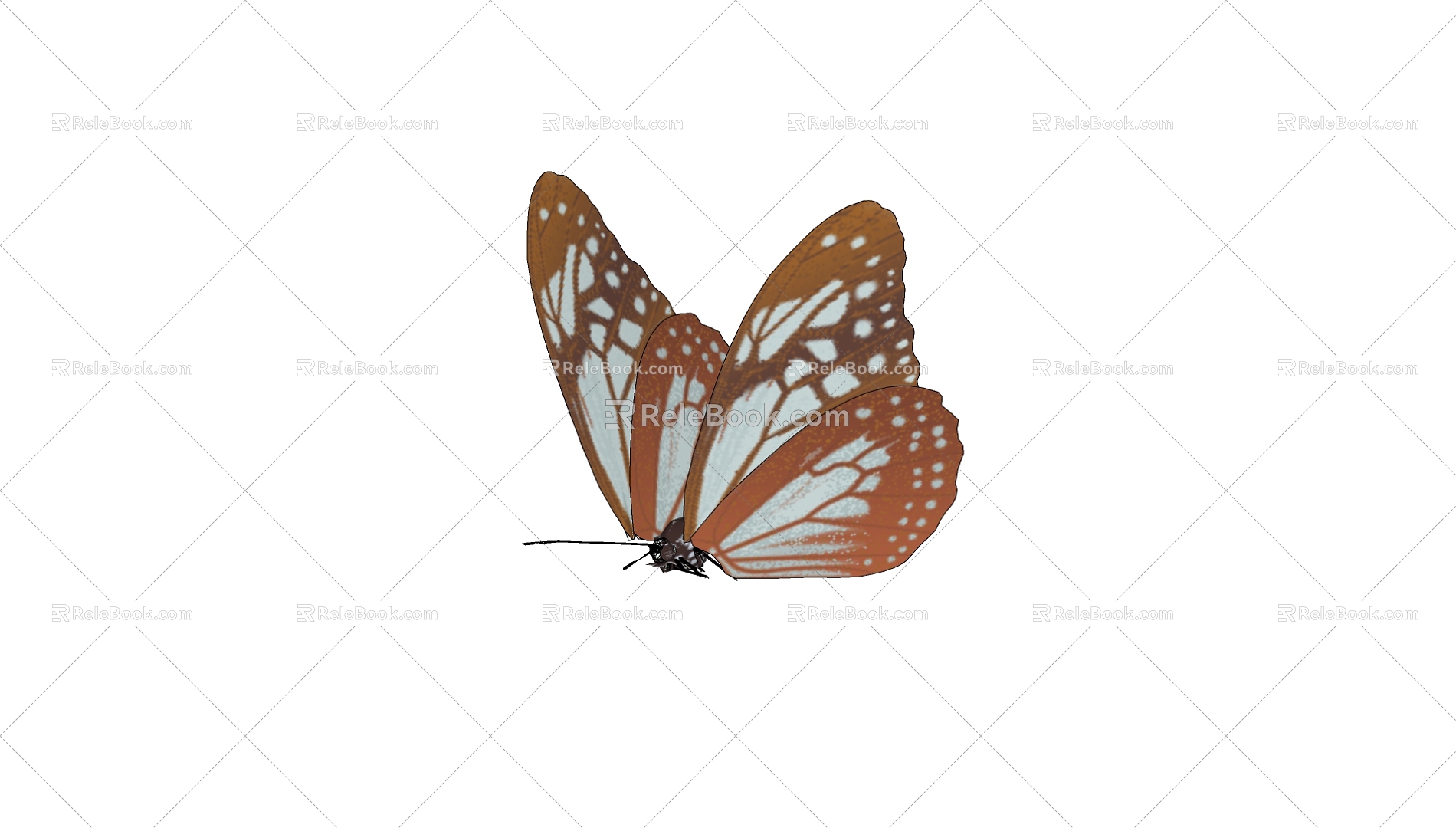 Butterfly 3d model