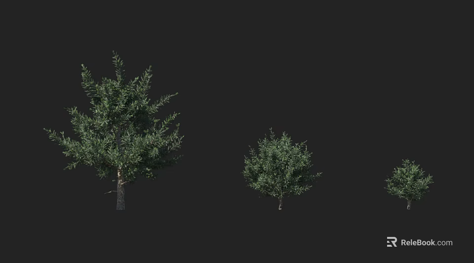 Arbor Trees In Three Different Sizes With Green Leaves On Black Background 3d model