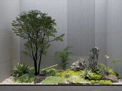 Serene Courtyard Garden With Gray Walls Tree Small Plants Rocks Moss And Pebbles 3d model