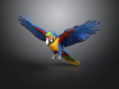 Colorful Parrot With Spread Wings And Vibrant Feathers On Gray Background 3d model