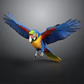 Colorful Parrot With Spread Wings And Vibrant Feathers On Gray Background