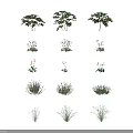 Colorful Flower and Herb Varieties with Purple Orange Blooms and Lavender in Different Growth Stages