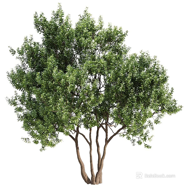 Functional Tree Pit Design with Lush Green Leafy Trees in Urban Landscape Settings 3d model