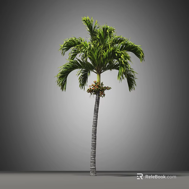 Tall Palm Tree With Lush Green Fronds And Smooth Trunk In Tropical Scene 3d model 