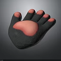 Detailed Animal Paw With Five Pink Toe Pads And Dark Textured Surface