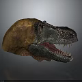 Tyrannosaurus Rex Dinosaur Head Model with Open Mouth Sharp Teeth and Orange Gray Skin