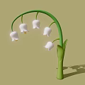 White Bell shaped Lily of the Valley Flowers on Green Stem with Shadow