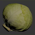 Fresh Green Whole Cabbage With Natural Texture On Dark Background 3d model