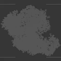 Large Tree With Lush Green Foliage And Thick Trunk Beside Human Silhouette On Dark Background
