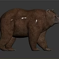 Realistic Brown Bear 3D Model With Detailed Fur Texture And Standing Pose 3d model