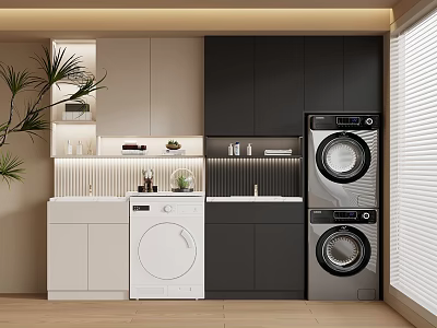 Modern Laundry Room With Washing Machine Dryer Cabinets And Green Plant 3d model