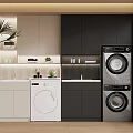 Modern Laundry Room With Washing Machine Dryer Cabinets And Green Plant