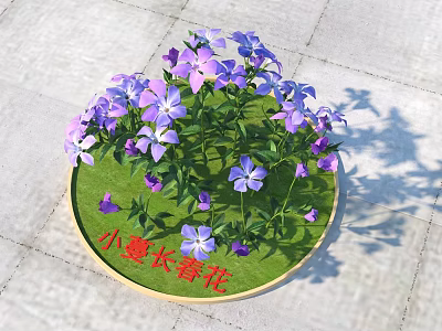 Vibrant Purple Vinca Minor Flowers Blooming In Circular Green Grass Pot 3d model