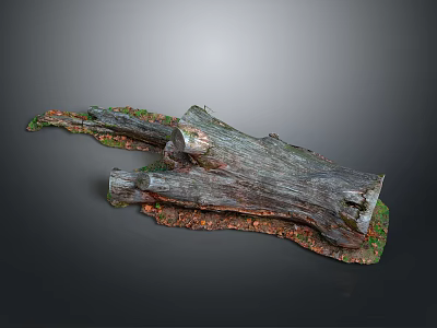 Natural Wood and Stone Tree Stump Decor with Rustic Texture and Organic Details 3d model