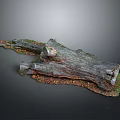 Natural Wood and Stone Tree Stump Decor with Rustic Texture and Organic Details