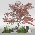 Tree Landscape Tree Red Maple Plant Pile 3d model