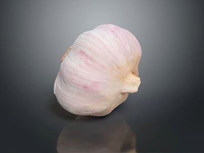 Fresh Garlic Bulb With Pink And White Stripes On Dark Surface 3d model