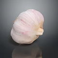 Fresh Garlic Bulb With Pink And White Stripes On Dark Surface 3d model