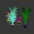 Green Indoor Plants with Various Large Leaf Types in Black Pots with White Decorative Patterns