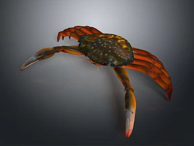 Colorful Aquatic Crab With Orange Claws Legs And Spotted Shell 3d model