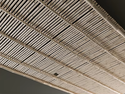 Natural Wooden Striped Ceiling Design With Neat Grid Arrangement And Textured Panels 3d model