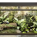 Enclosed Terrarium With Lush Plants Rocks Driftwood And Water Elements