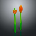 Green Stem Plants With Long Stems And Orange Spotted Tops In Grey Background