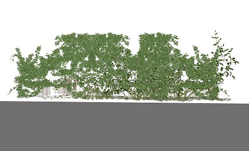 Modern Vines Green Plants Wall Climbing Plants 3d model