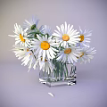 White Daisies With Yellow Centers In Transparent Square Glass Vase On Light Gray Background