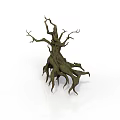 Gnarled Tree Root Decorative Element With Twisted Branches Organic Shape And Natural Texture