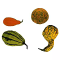 Colorful Fresh Gourds And Pumpkins In Various Shapes And Patterns