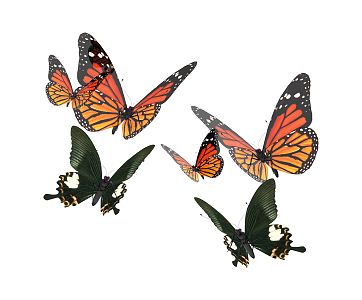 Modern Butterfly 3d model