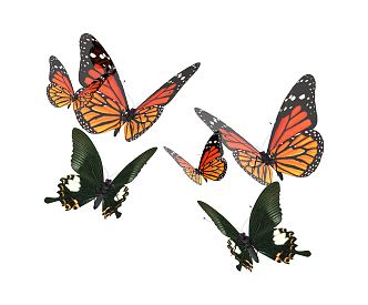 Modern Butterfly 3d model