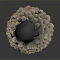 Pine Cone With Natural Scaly Brown Texture Isolated On Dark Background