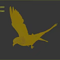 Flying Pigeon With Spread Wings Blue Purple Green Iridescent Feathers Red Feet Dark Background