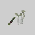 Transparent Glass Cylindrical Vases With Red Anthurium Flowers And Green Pink Leaves