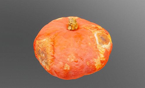 Modern Pumpkin Rotten Pumpkin 3d model