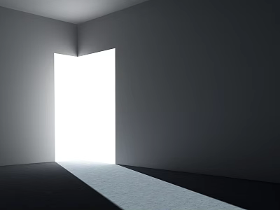 Empty Room With Gray Walls Dark Floor Open Door Letting Bright Light Beam In 3d model