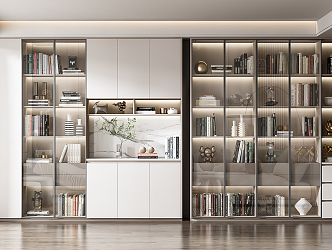 Modern bookcase combination 3d model