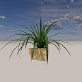 Green Potted Plant With Long Narrow Leaves In Light Colored Square Pot