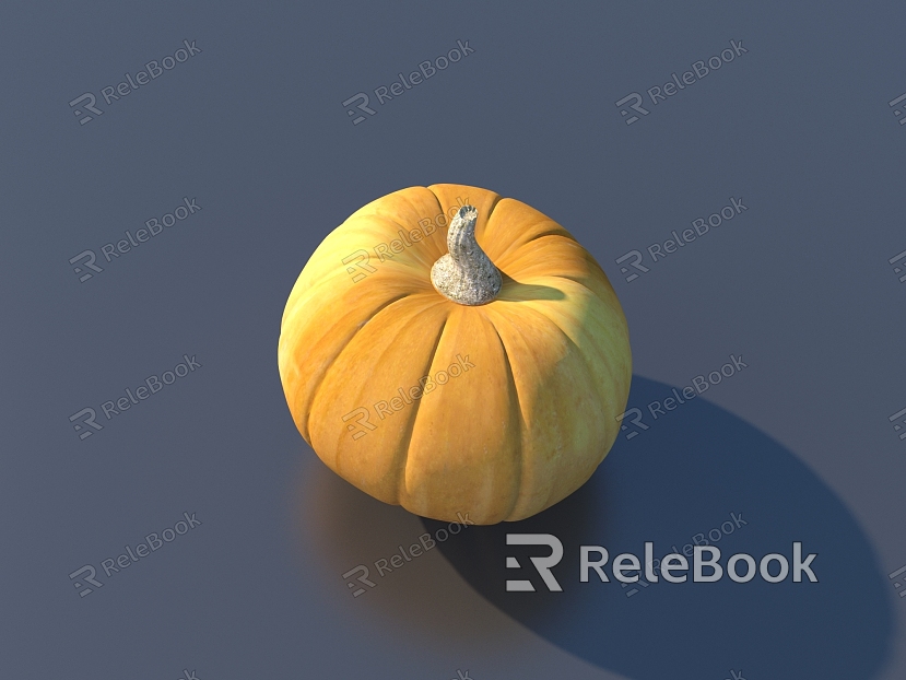 Pumpkin Cartoon Pumpkin Vegetables model