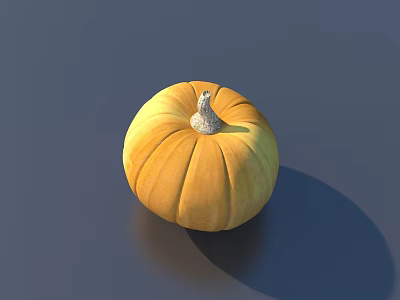 Fresh Ripe Orange Pumpkin Vegetable on Dark Background with Natural Shadow 3d model