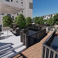 Urban Park with Central Circular Water Feature Lush Trees and Walkways Near High Rises