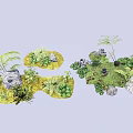 Natural Garden Plant Arrangement With Ferns Moss And Decorative Stones